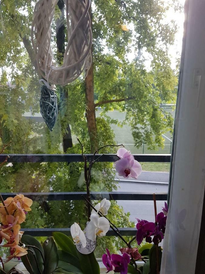 Studio Apartman Zagreb Zapad Vrapce Zewnętrze zdjęcie